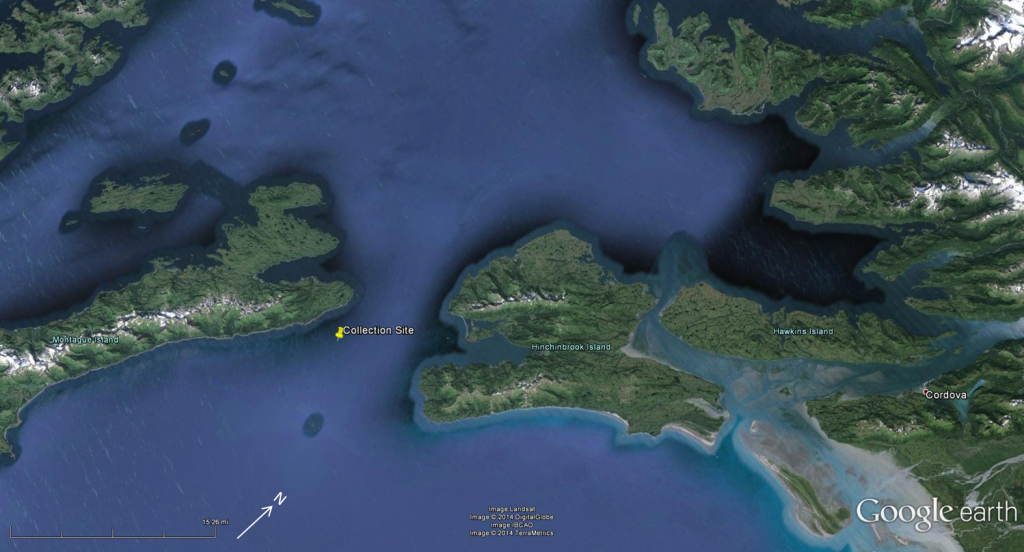 Collection site map