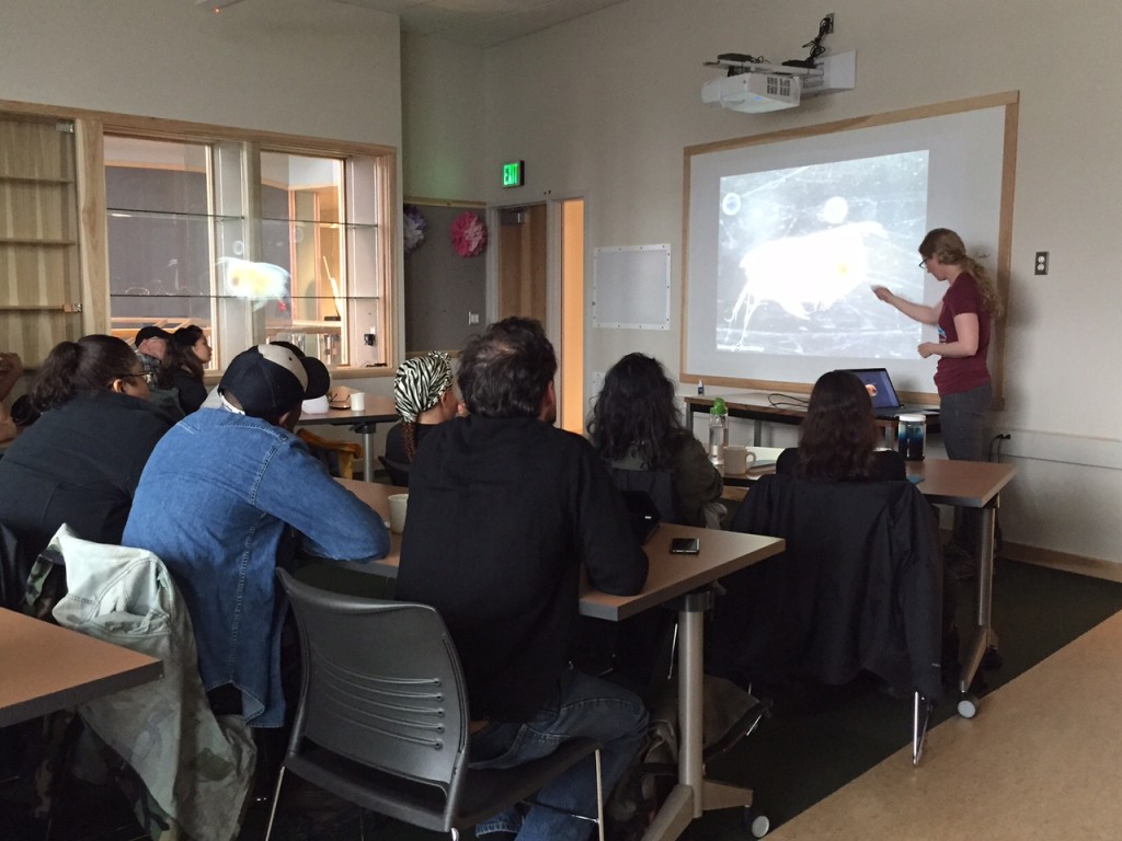 Research assistant, Caitlin McKinstry shares the meticulous techniques behind her plankton photography methods with visiting photography students.