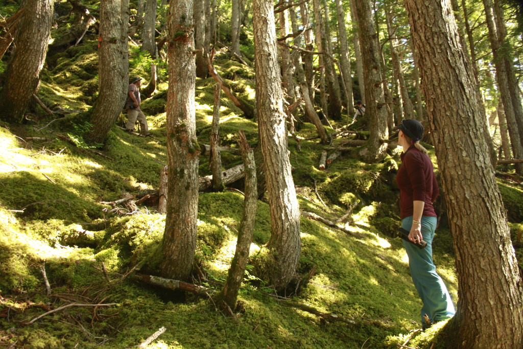 Science Center research ecologist, Dr. Kristen Gorman, hikes with LaGuardia students on Sheridan Mountain Trail. 