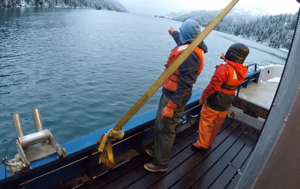 Ocean Tracking Network research cruise. 