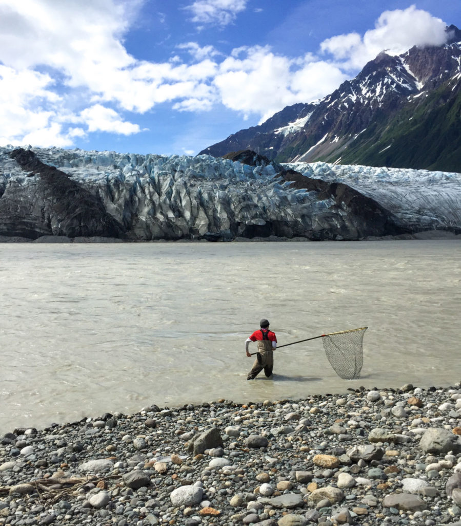 Variation in Body Size and Energy Content of Sockeye Salmon Returning to the Copper River, Alaska: Preliminary Data and Future Studies  